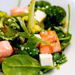 Salmon Salad with Quinoa and Vinaigrette